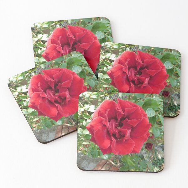 Item preview, old Rose  designed and sold by Zarabeaver.