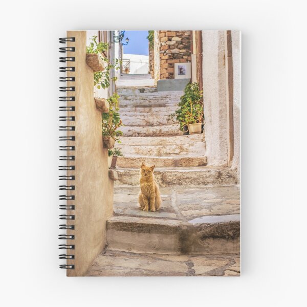 Item preview, A cat in the Old Market, Naxos, Greece designed and sold by Giulia Buscemi.