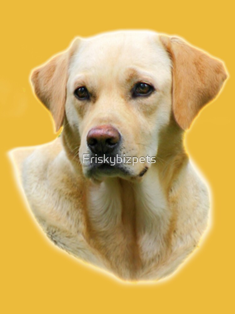 T SHIRT HANGOVER II 2 Yellow Lab Dog THE REAL ONE zach galifianakis Essential T Shirt for Sale by Friskybizpets Redbubble