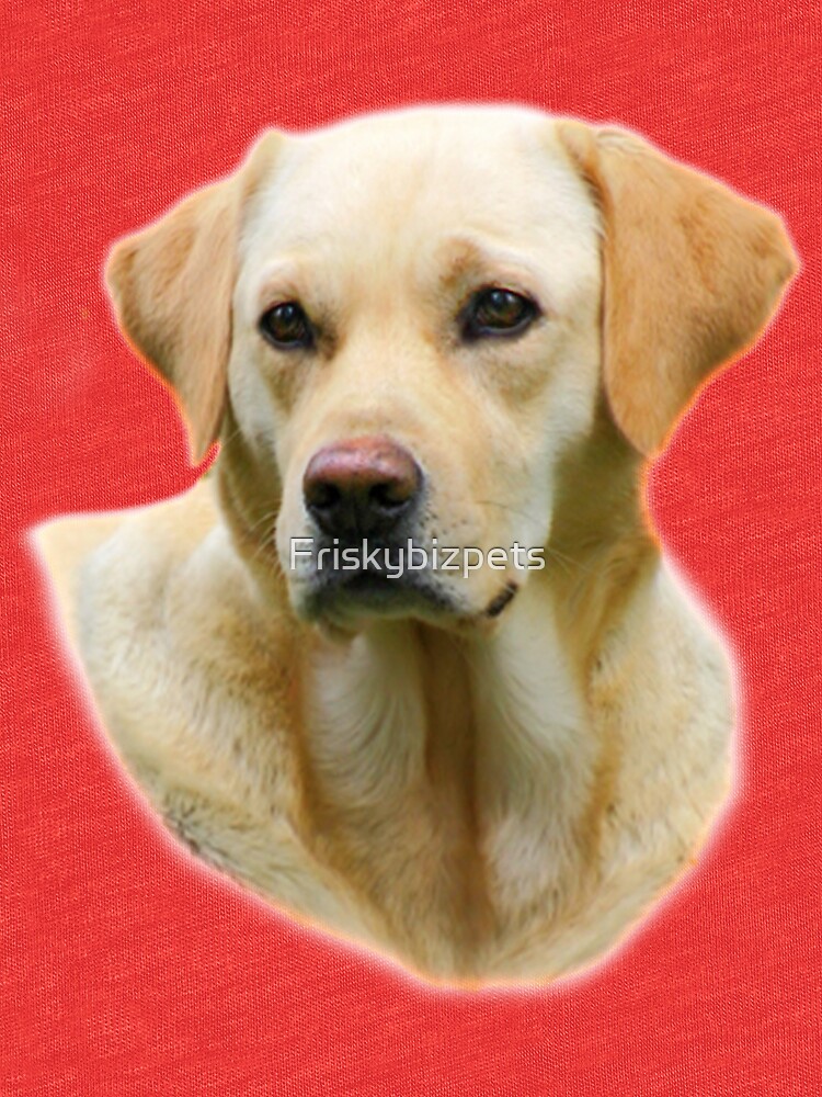 hangover labrador t shirt