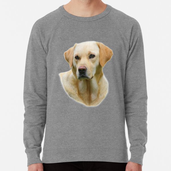 yellow lab sweater