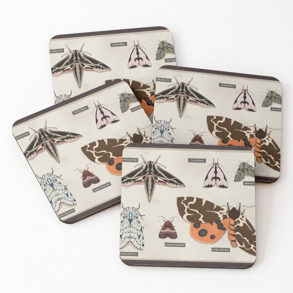 Item preview, Shadow box: Moths designed and sold by Taylor Herrington.