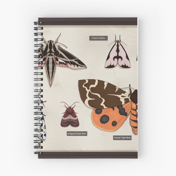 Item preview, Shadow box: Moths designed and sold by Taylor Herrington.