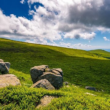 Artwork thumbnail, giant boulders on grassy slopes of Polonina Runa by mike-pellinni