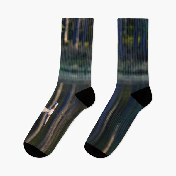 Item preview, Fresh in the morning.reflections  Red-throated loon designed and sold by Jouko Lehto Photography.