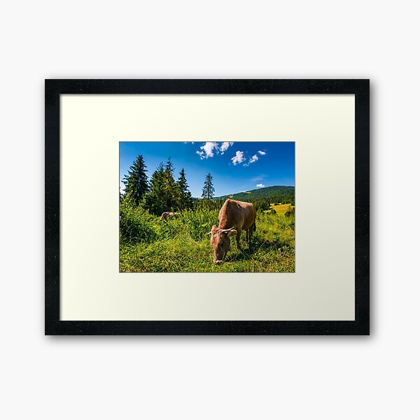 cow grazing in a tall grass near the forest Framed Art Print