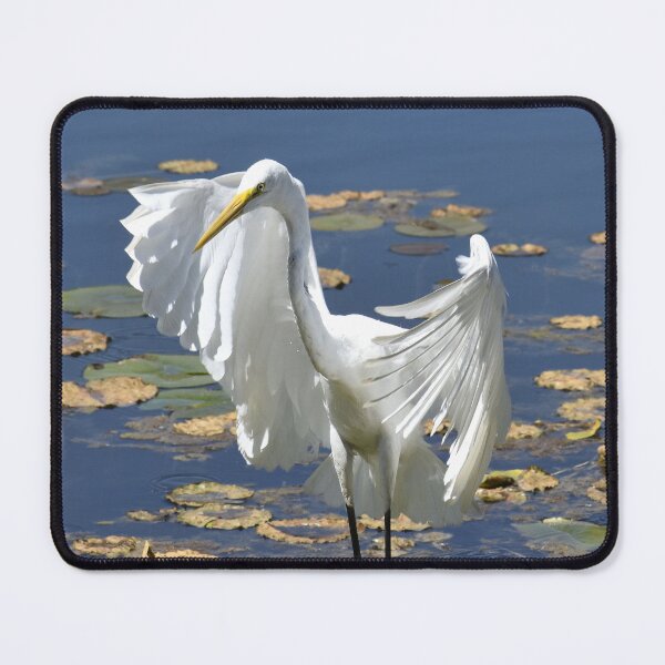 Item preview, Great Egret Lifting Its Wings designed and sold by Kathleen Brant.