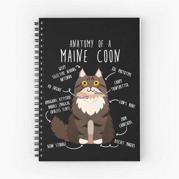 Item preview, Maine Coon Cat Anatomy designed and sold by Clara Hollins.