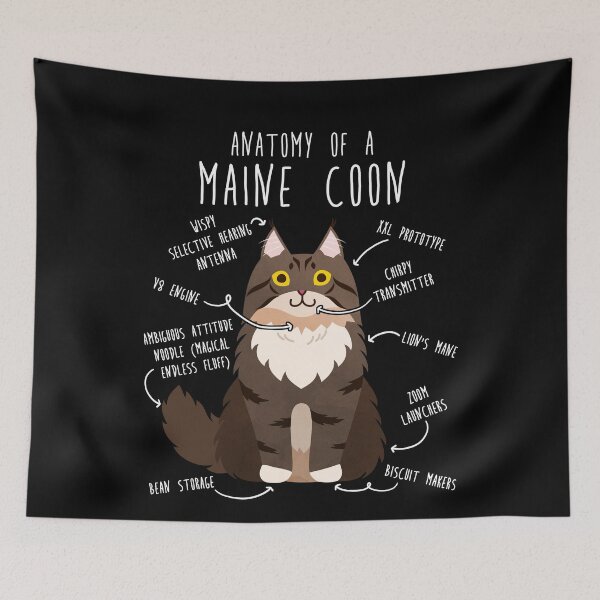 Item preview, Maine Coon Cat Anatomy designed and sold by Clara Hollins.