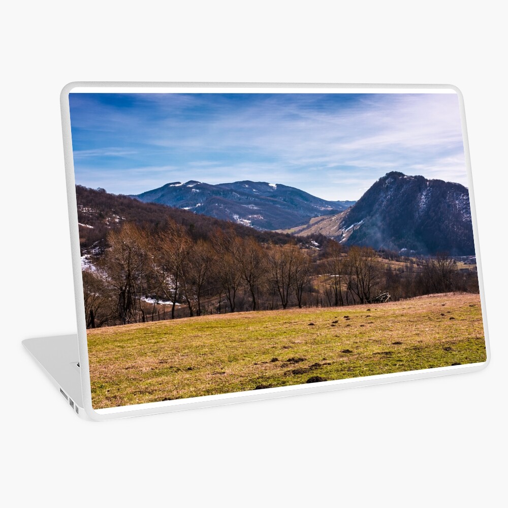 Item preview, Laptop Skin designed and sold by mike-pellinni.