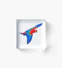Scarlet and Blue Macaw Acrylic Block