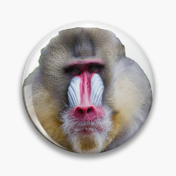 Item preview, Baboon designed and sold by Wayne Thomson.