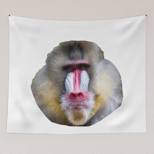 Item preview, Baboon designed and sold by Wayne Thomson.