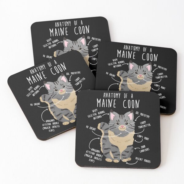 Item preview, Maine Coon Cat Anatomy designed and sold by Clara Hollins.