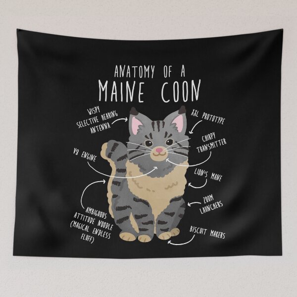 Item preview, Maine Coon Cat Anatomy designed and sold by Clara Hollins.