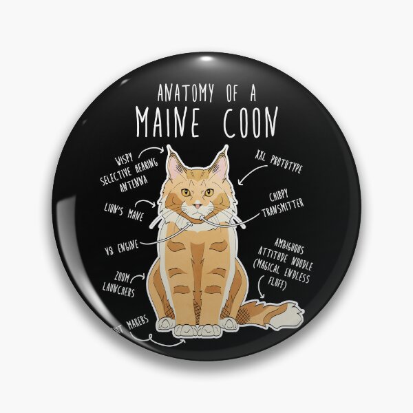 Item preview, Maine Coon Cat Anatomy designed and sold by Clara Hollins.