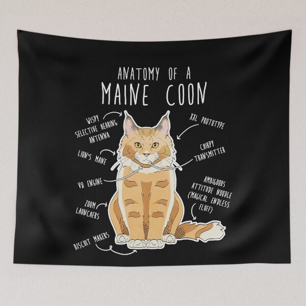 Item preview, Maine Coon Cat Anatomy designed and sold by Clara Hollins.