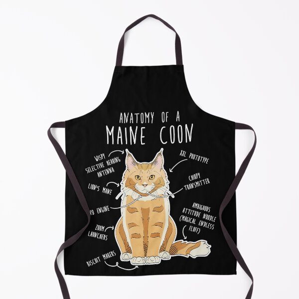 Item preview, Maine Coon Cat Anatomy designed and sold by Clara Hollins.