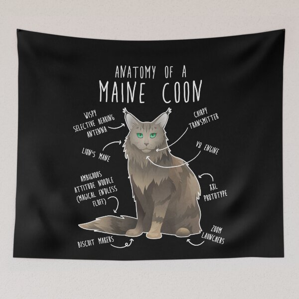 Item preview, Maine Coon Cat Anatomy designed and sold by Clara Hollins.