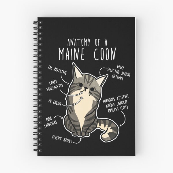 Item preview, Maine Coon Cat Anatomy designed and sold by Clara Hollins.