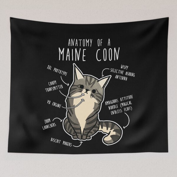 Item preview, Maine Coon Cat Anatomy designed and sold by Clara Hollins.