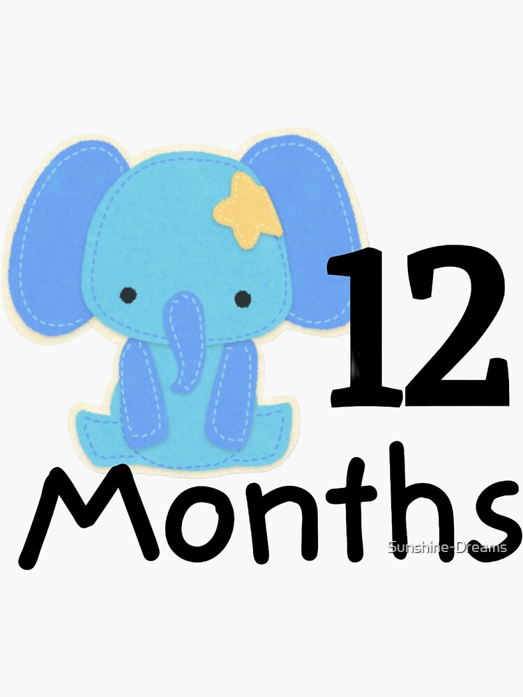 Monthly Baby Boy Stickers Baby Month Stickers Milestone One Piece