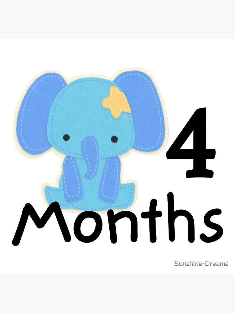 Months Baby Milestones Boy Elephant Blue Photographic Print