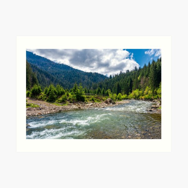 Tereblya river of Carpathan mountains Art Print