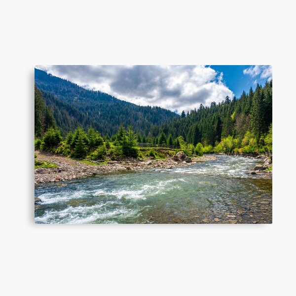 Tereblya river of Carpathan mountains Canvas Print