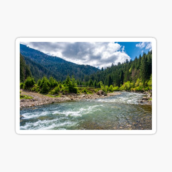 Tereblya river of Carpathan mountains Sticker