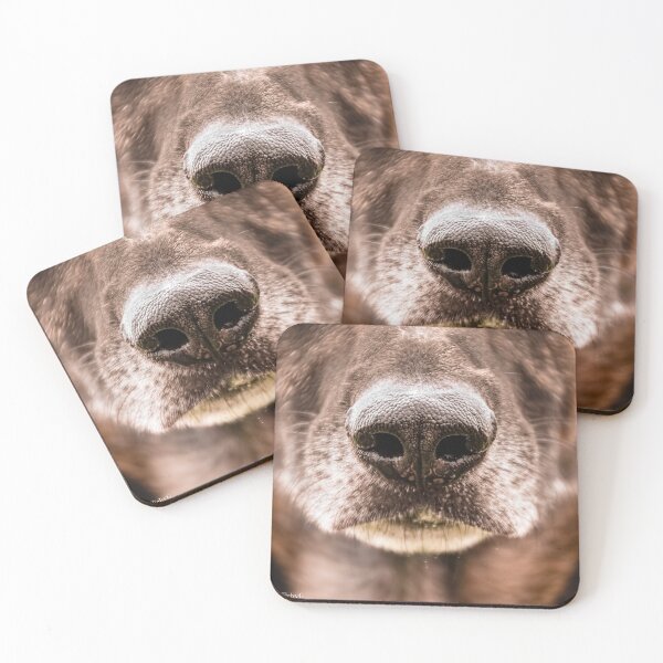 Item preview, Dog Nose designed and sold by Fotograffiebyg.