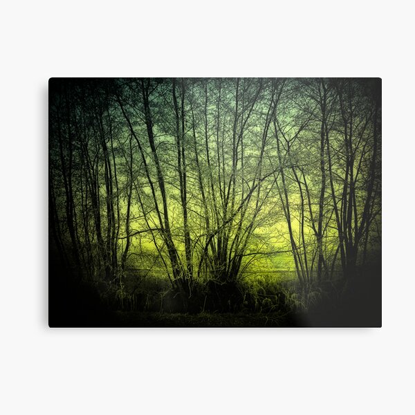green Metal Print