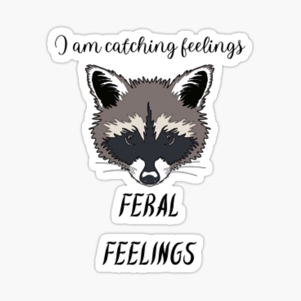 Item preview, I am catching feelings, FERAL FEELINGS Raccoon meme designed and sold by JustBeingAlicia.