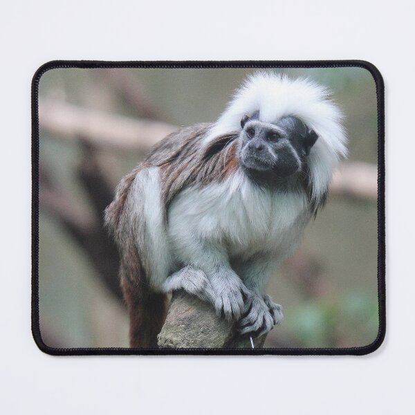 Item preview, Cotton Top Tamarin designed and sold by LeanneAllen.