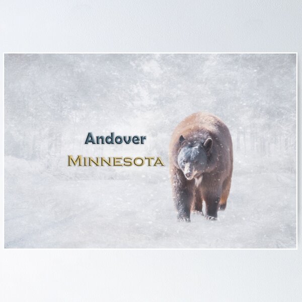Item preview, Oso de nieve Andover Minnesota designed and sold by Elisabeth Lucas.