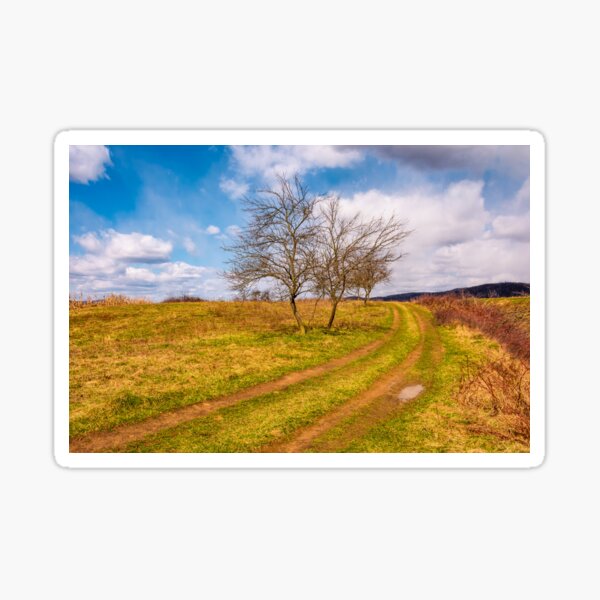 leafless trees along the dirt road up the hill Sticker