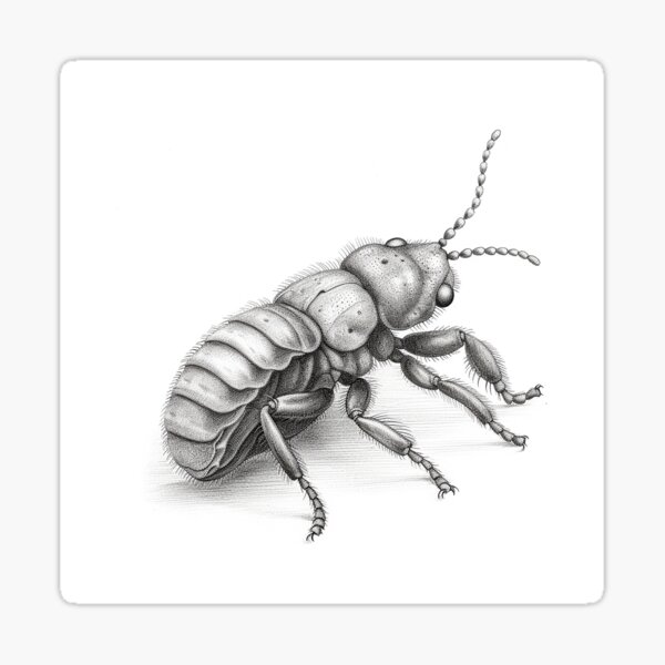 Item preview, Springtail of the garden designed and sold by Jason  Stirling.