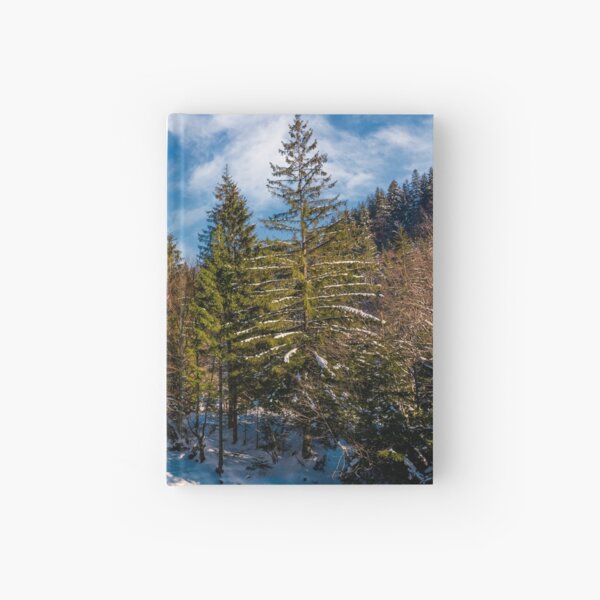 Tereblya river of Carpathian mountains in winter Hardcover Journal
