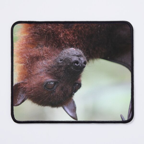 Item preview, Fruit Bat designed and sold by LeanneAllen.
