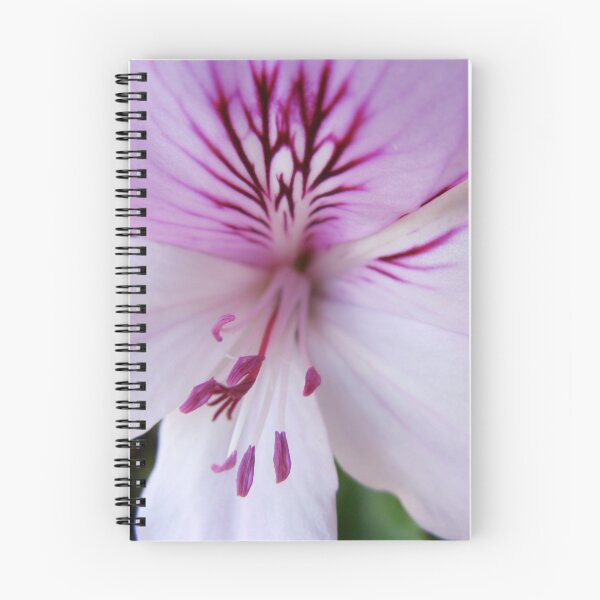 Item preview, Pelargonium macro designed and sold by kkargakou.