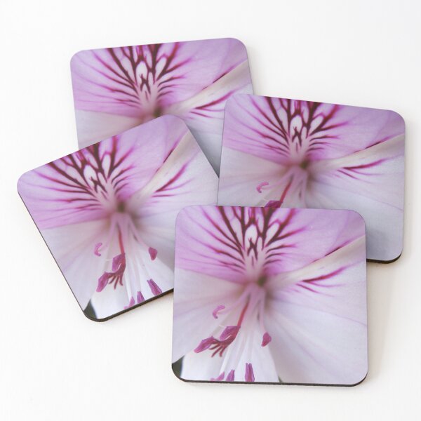 Item preview, Pelargonium macro designed and sold by kkargakou.
