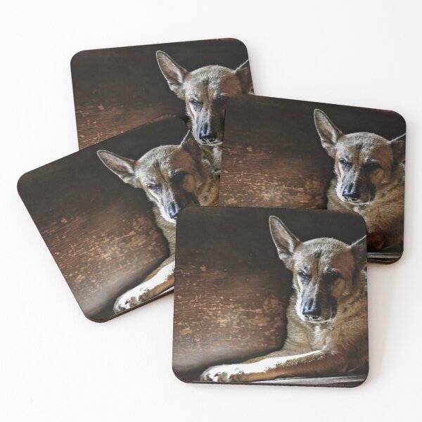 Item preview, Nitro designed and sold by Fotograffiebyg.
