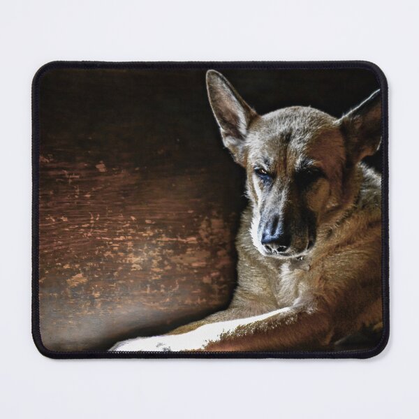Item preview, Nitro designed and sold by Fotograffiebyg.
