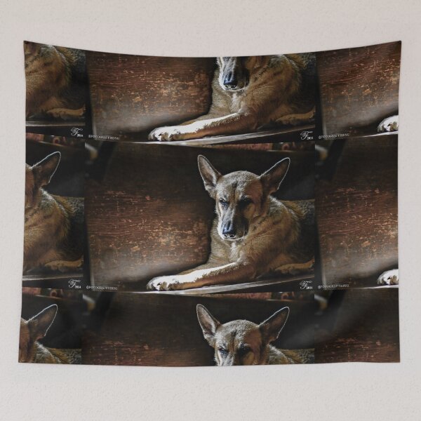 Item preview, Nitro designed and sold by Fotograffiebyg.