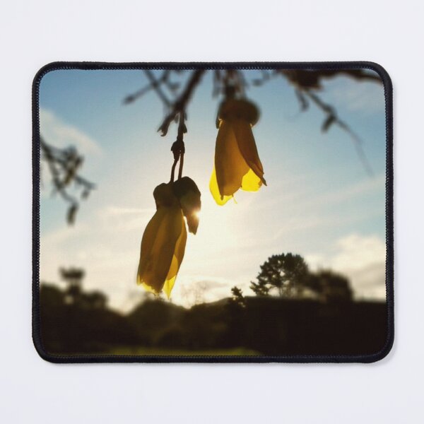Item preview, Kowhai shine designed and sold by NixieNoo.