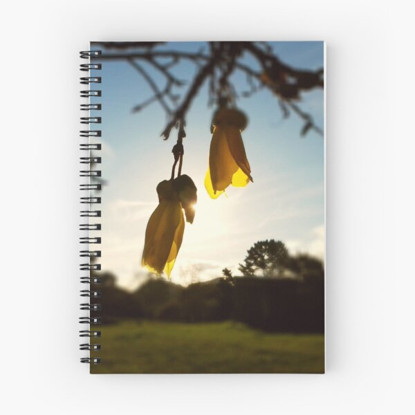 Item preview, Kowhai shine designed and sold by NixieNoo.