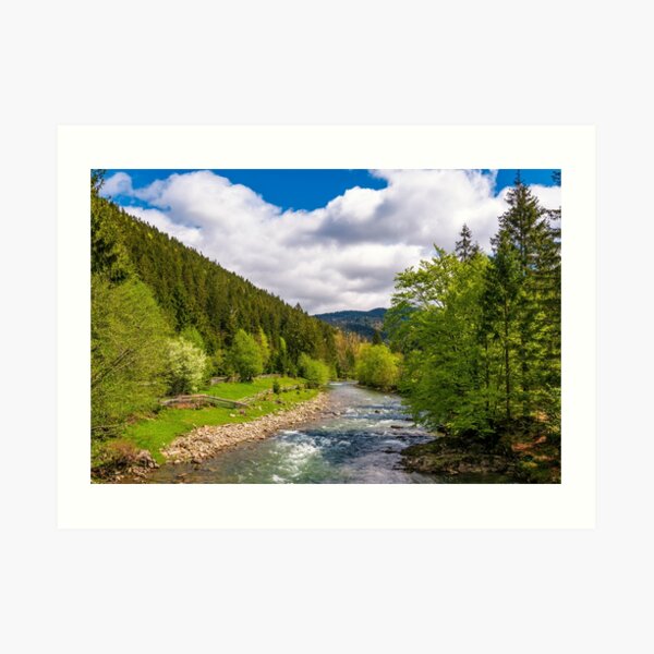 Tereblya river of Carpathian mountains Art Print
