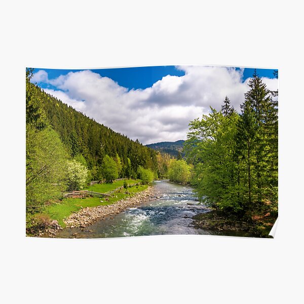 Tereblya river of Carpathian mountains Poster