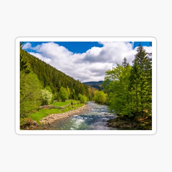Tereblya river of Carpathian mountains Sticker