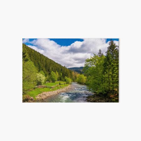 Tereblya river of Carpathian mountains Art Board Print
